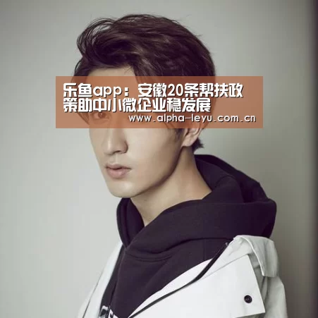 乐鱼app:安徽20条帮扶政策助中小微企业稳发展(图1) 乐鱼app