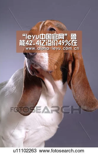 乐鱼官网